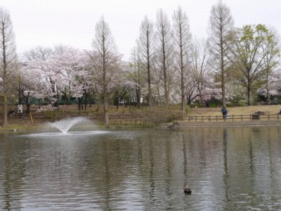 御伊勢塚公園の写真7