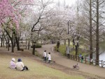 御伊勢塚公園の写真のサムネイル写真9