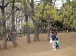 御伊勢塚公園の写真のサムネイル写真10