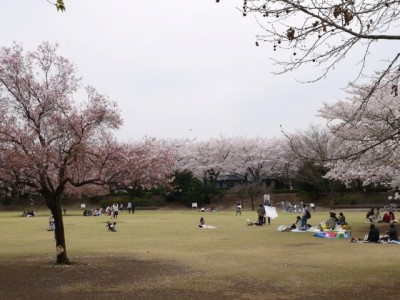 御伊勢塚公園の写真15