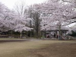 御伊勢塚公園の写真のサムネイル写真16