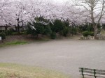 御伊勢塚公園の写真のサムネイル写真17