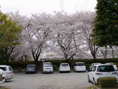 小畔水鳥の郷公園の写真