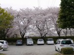 小畔水鳥の郷公園の写真のサムネイル写真1