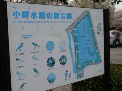 小畔水鳥の郷公園の写真2