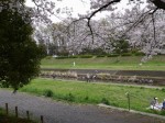 小畔水鳥の郷公園の写真のサムネイル写真7