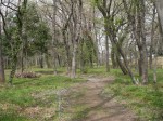 池辺公園の写真のサムネイル写真4