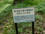 池辺公園の写真のサムネイル写真13