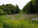 緑のトラスト保全八号地 高尾宮岡の景観地の写真のサムネイル写真3