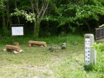 緑のトラスト保全八号地 高尾宮岡の景観地の写真のサムネイル写真10