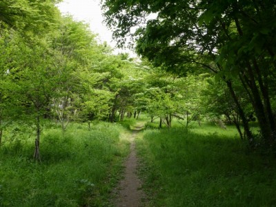緑のトラスト保全八号地 高尾宮岡の景観地の写真11