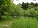 緑のトラスト保全八号地 高尾宮岡の景観地の写真のサムネイル写真12