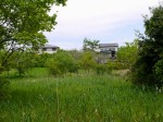緑のトラスト保全八号地 高尾宮岡の景観地の写真のサムネイル写真14
