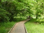 緑のトラスト保全八号地 高尾宮岡の景観地の写真のサムネイル写真15