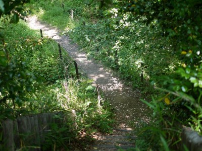 蝶の里公園の写真のサムネイル写真3