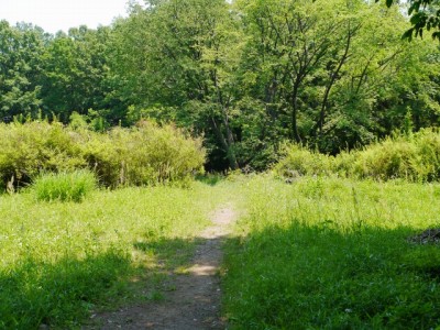 蝶の里公園の写真のサムネイル写真6