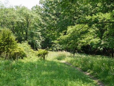 蝶の里公園の写真のサムネイル写真7