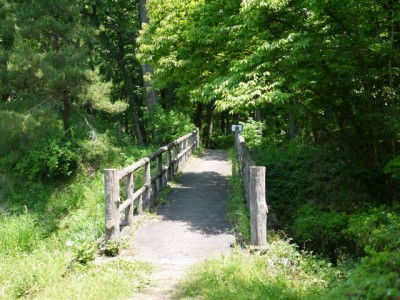 蝶の里公園の写真のサムネイル写真10