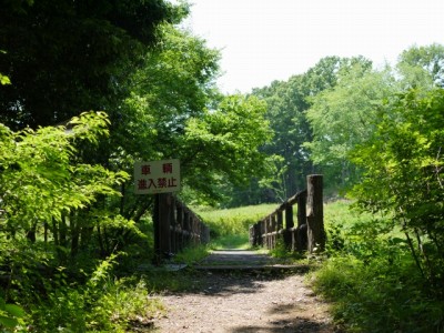 蝶の里公園の写真のサムネイル写真14