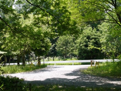 蝶の里公園の写真のサムネイル写真16