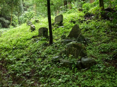 金鑚コース（神川町ハイキングコース）の写真10