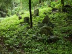 金鑚コース（神川町ハイキングコース）の写真のサムネイル写真10