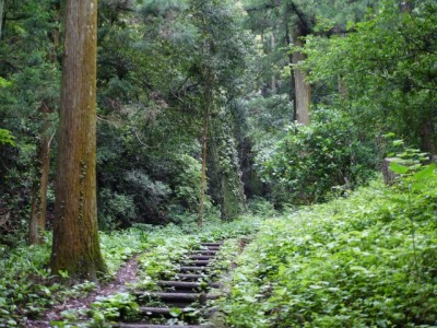 金鑚コース（神川町ハイキングコース）の写真11