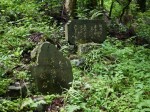 金鑚コース（神川町ハイキングコース）の写真のサムネイル写真12