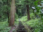 金鑚コース（神川町ハイキングコース）の写真のサムネイル写真14