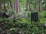 金鑚コース（神川町ハイキングコース）の写真のサムネイル写真16