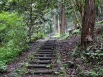 金鑚コース（神川町ハイキングコース）の写真のサムネイル写真17