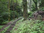 金鑚コース（神川町ハイキングコース）の写真のサムネイル写真19