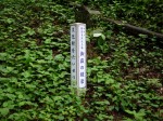 金鑚コース（神川町ハイキングコース）の写真のサムネイル写真21