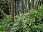 金鑚コース（神川町ハイキングコース）の写真のサムネイル写真26