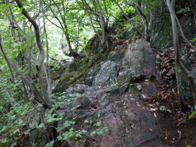 金鑚コース（神川町ハイキングコース）の写真42