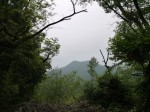 金鑚コース（神川町ハイキングコース）の写真のサムネイル写真49