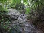 金鑚コース（神川町ハイキングコース）の写真のサムネイル写真50