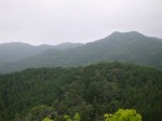 金鑚コース（神川町ハイキングコース）の写真のサムネイル写真54