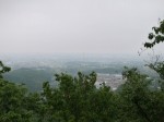 金鑚コース（神川町ハイキングコース）の写真のサムネイル写真63