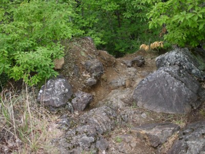 金鑚コース（神川町ハイキングコース）の写真64