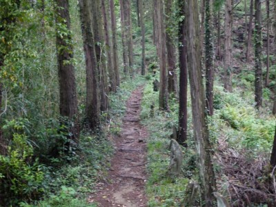 金鑚コース（神川町ハイキングコース）の写真72