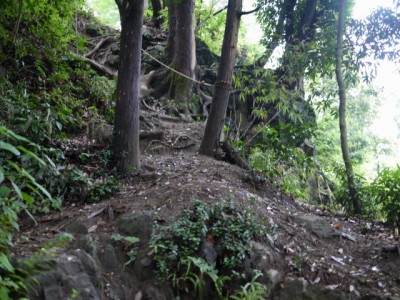 金鑚コース（神川町ハイキングコース）の写真79