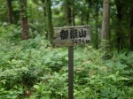 金鑚コース（神川町ハイキングコース）の写真のサムネイル写真85