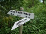 金鑚コース（神川町ハイキングコース）の写真のサムネイル写真86