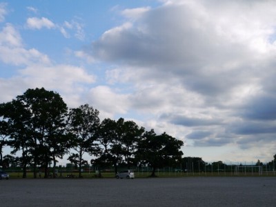 荒川総合運動公園の写真