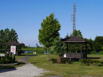 高須賀池公園の写真1