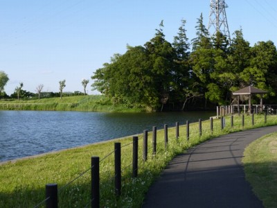 高須賀池公園の写真14