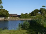 高須賀池公園の写真のサムネイル写真19
