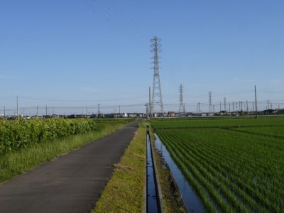 高須賀池公園の写真21