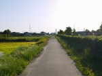 高須賀池公園の写真のサムネイル写真24